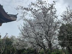 -堤角公园