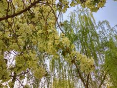 -西安交通大学(雁塔校区)