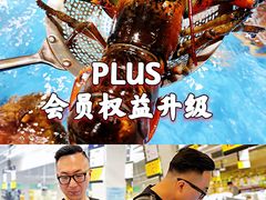 -麦德龙(浦东店)