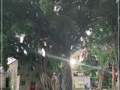 -烟桥私房菜馆(奋哥)