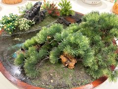 -丹江渔村(望京店)