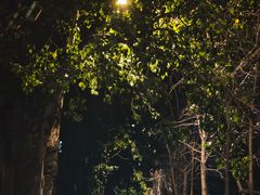 -斯多格书乡(北京大学畅春园店)