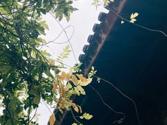 -龙华寺