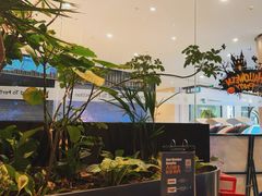 -bluefrog蓝蛙(皇庭广场店)