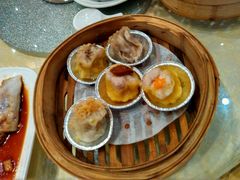 -新兴·金羊座·粤菜点心(乐峰店)