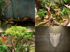 -森SPA·泰式按摩·精油Massage(宝安中心店)