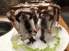 -大龙燚火锅