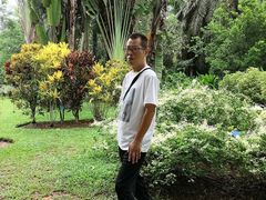 -西双版纳原始森林公园