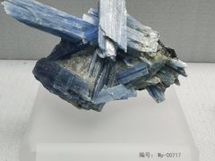 -湖南省地质博物馆