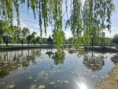 -金鸡湖桃花岛
