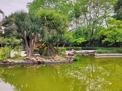 -深圳国际园林花卉博览园