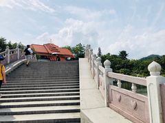 -大屏嶂森林公园