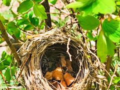 -白草畔自然风景区