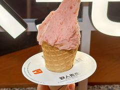 -野人先生Gelato(上海长宁龙之梦店)