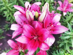 -长春公园(普阳街道)