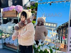 -京北渔家傲