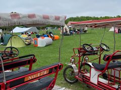 -上海海湾国家森林公园