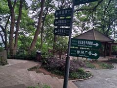 -紫金山山顶公园