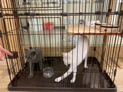 -iF摄影•全家福•证件照•形象照(南山店)