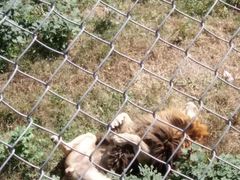 -石家庄市动物园