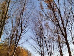 -东郊湿地公园