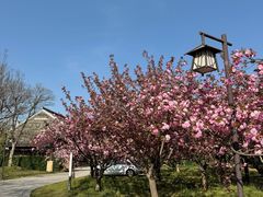 -江苏三台山国家森林公园