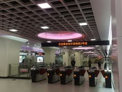 -群力丁香公园