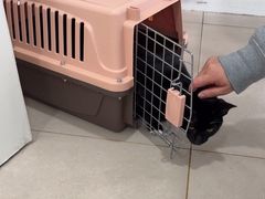 -佳雯宠物医院·皮肤科·内外科(春晓路分院)