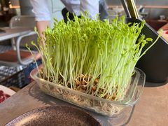 -罗勒家·养生火锅· Bistro(大望路店)