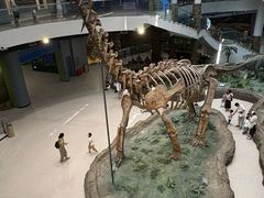 -辽宁古生物博物馆