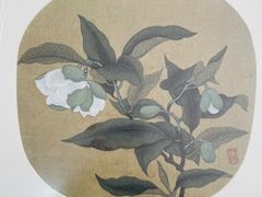 -六出私塾LiuChu•成人美术书法系统课程专业画室(熊婆婆的花园店)