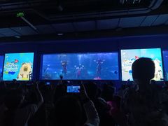 -重庆欢乐海底世界