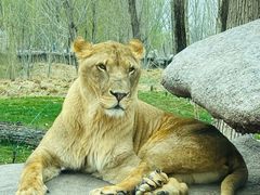 -北京野生动物园