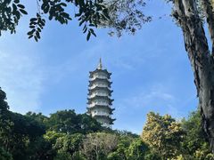 -风云岭森林公园