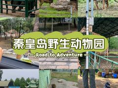-秦皇岛野生动物园