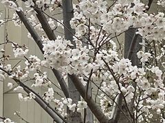 -山东省千佛山医院
