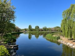 -大兴滨河森林公园