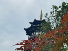 -洋湖国家湿地公园