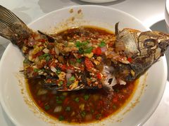 -费大厨辣椒炒肉(高铁吾悦广场店)