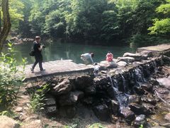 -白云源风景区
