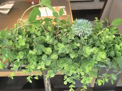 -川成元·麻辣香锅(凯德MALL西直门店)