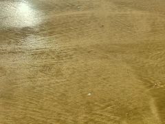 -北岐滩涂