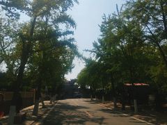 -八大关景区