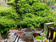 -凤来栖·净庭院·火锅(欧尚店)