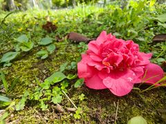 -修脚房(东洪广厦店)