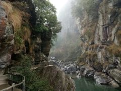 -石台牯牛降景区