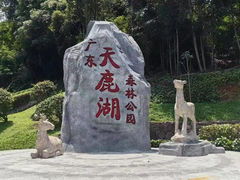 -天鹿湖森林公园