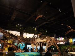 -国家自然博物馆