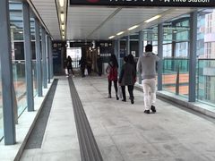 -香港大学