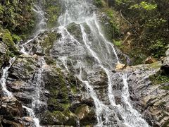 -江西阳明山国家森林公园